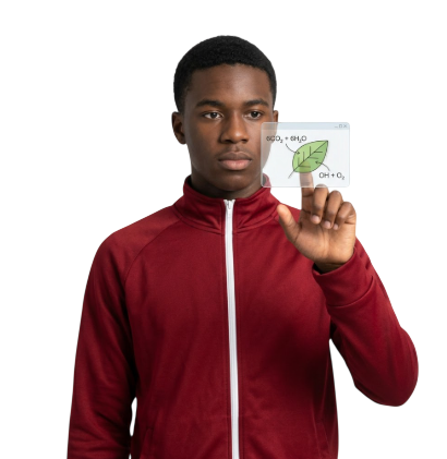 Learning evidence, transcripts, and progress records shared with families and institutions